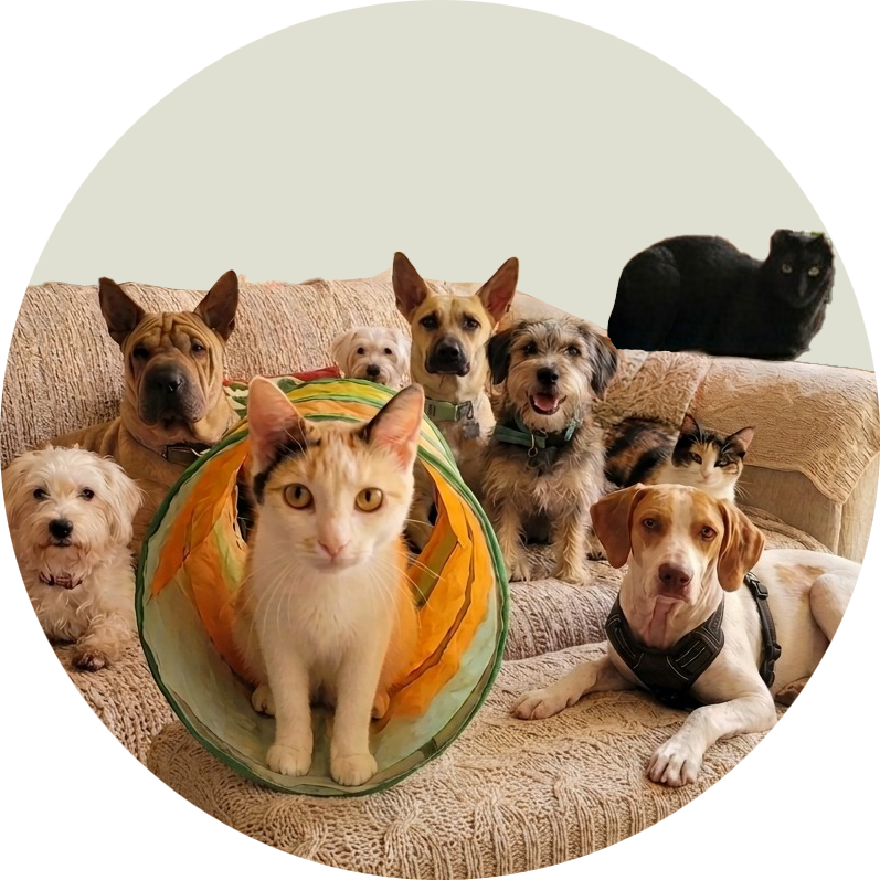 lamanadaderiley